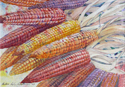 HarvestCorn